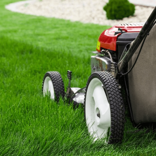 Landscaping and Lawn Care - Earasers.Shop