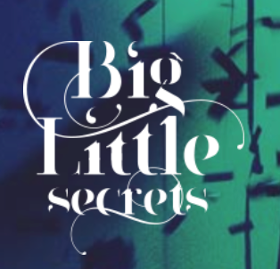 Big Little Secrets Collection