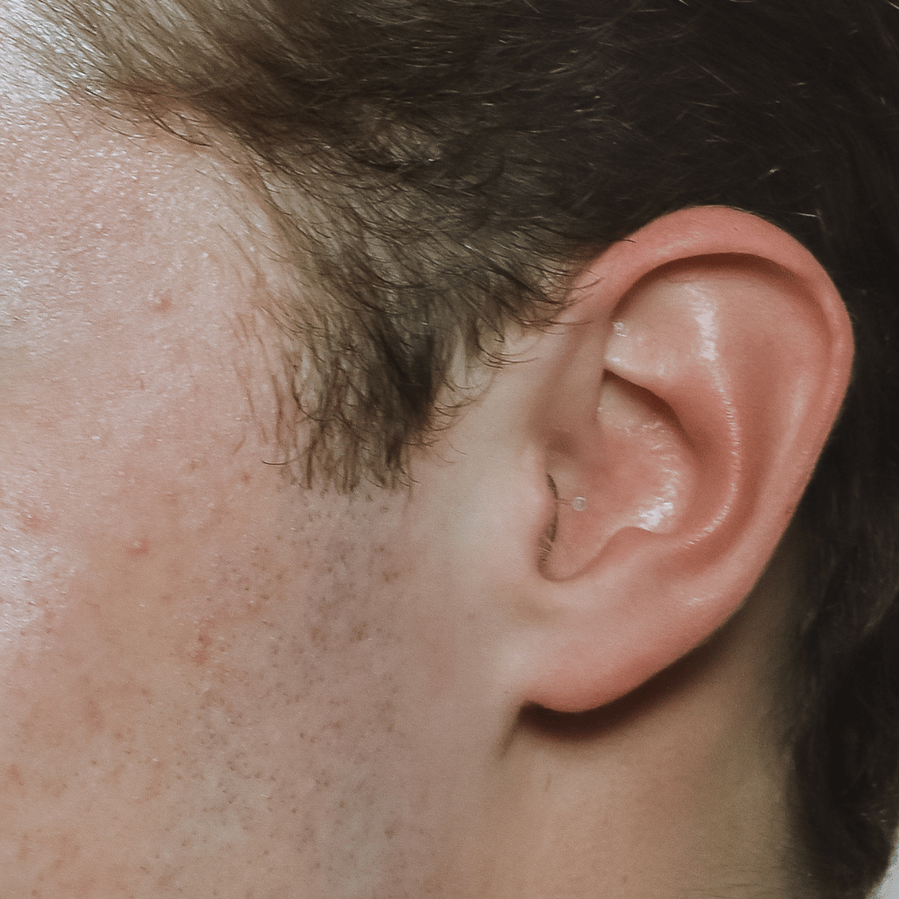 MotorSports Hi-Fi Earplugs